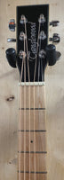 Tanglewood Winterleaf TW4 BLA