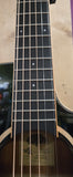 Tanglewood TW4 CE FG