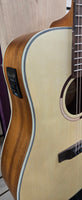 Tanglewood TS5CE