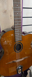 Pre loved Richwood Classical/Gypsy jazz?