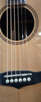 Tanglewood TWJ DCE