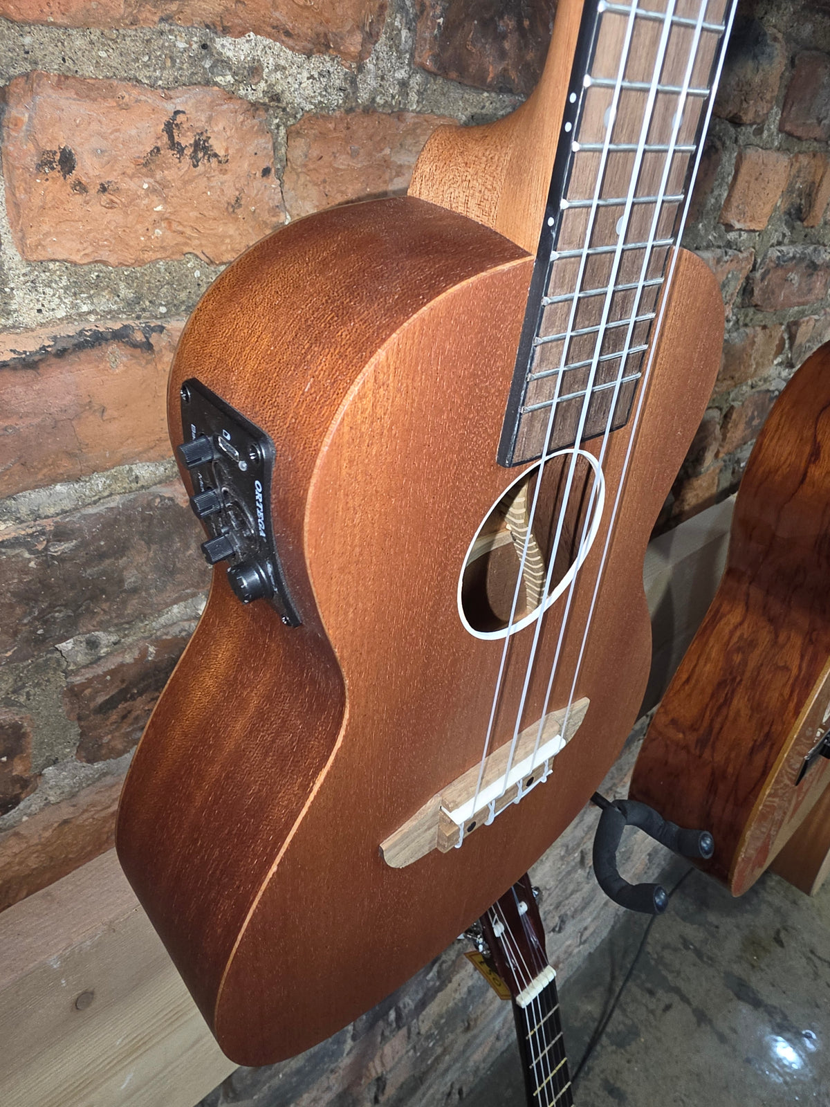 Ortega  RFU11SE
