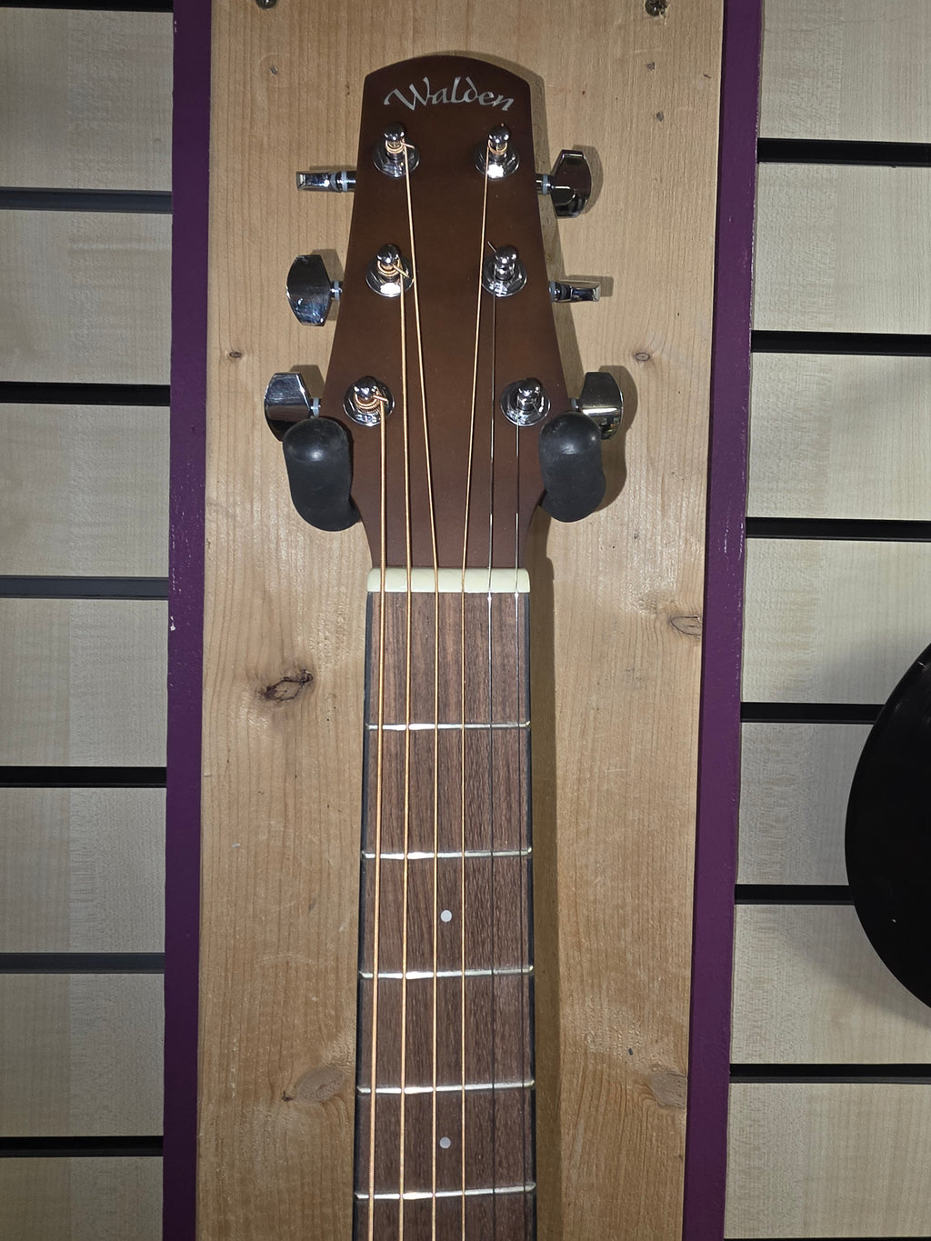 Walden F255 CE