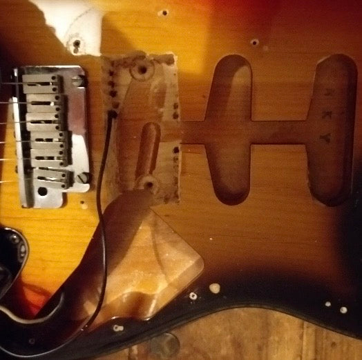 Not a Fender Strat Partcaster