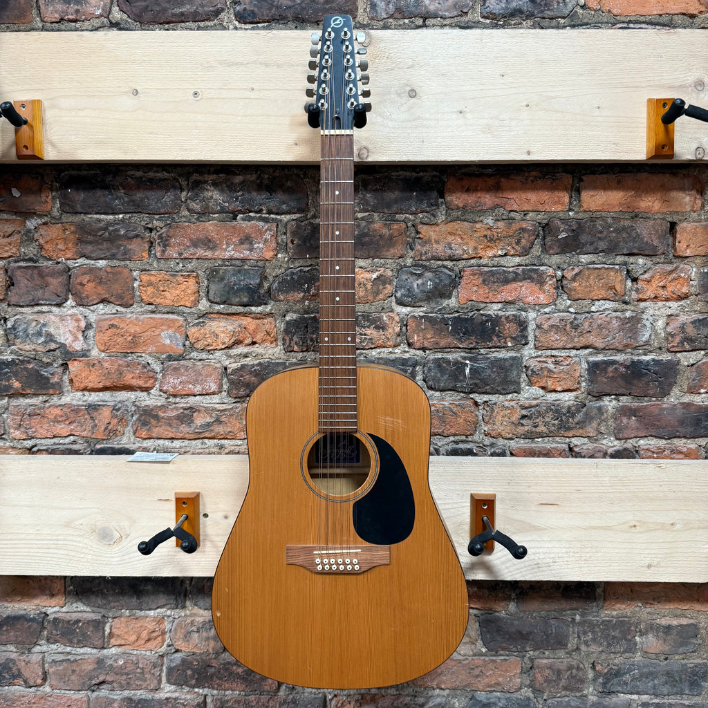 Seagull 12 string Pre-Loved