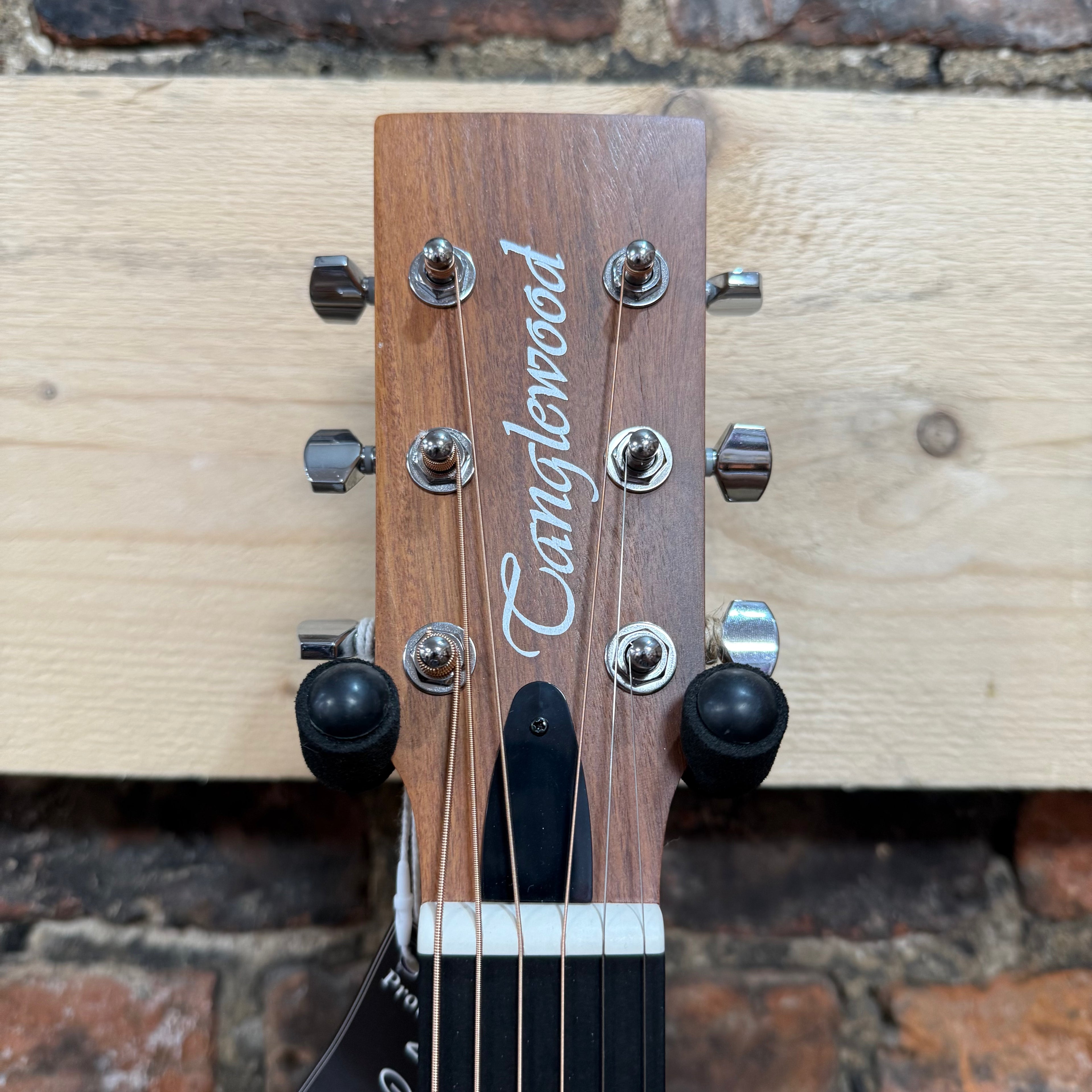 Tanglewood TM 5