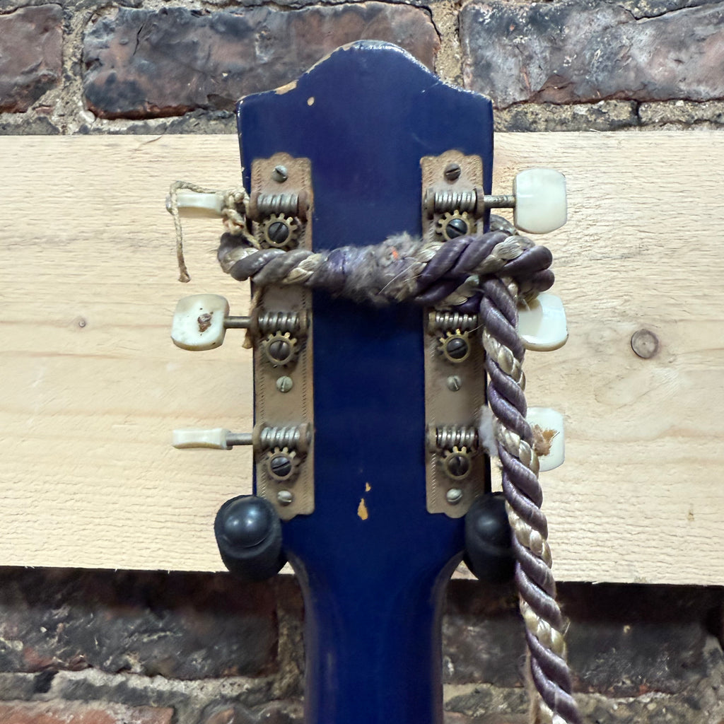 Ibanez Salvador Pre-Loved