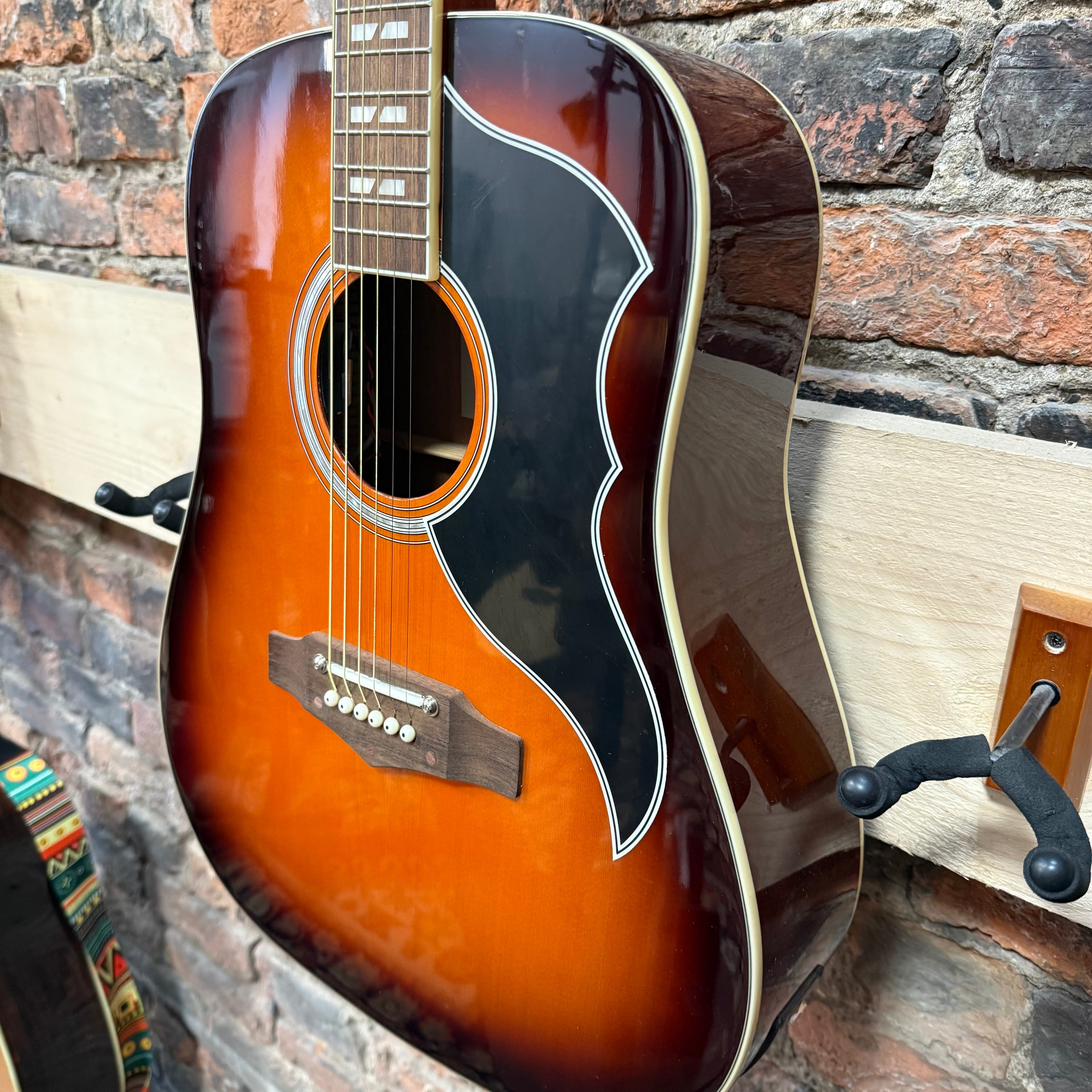 EKO Ranger VI Honey Burst  EQ