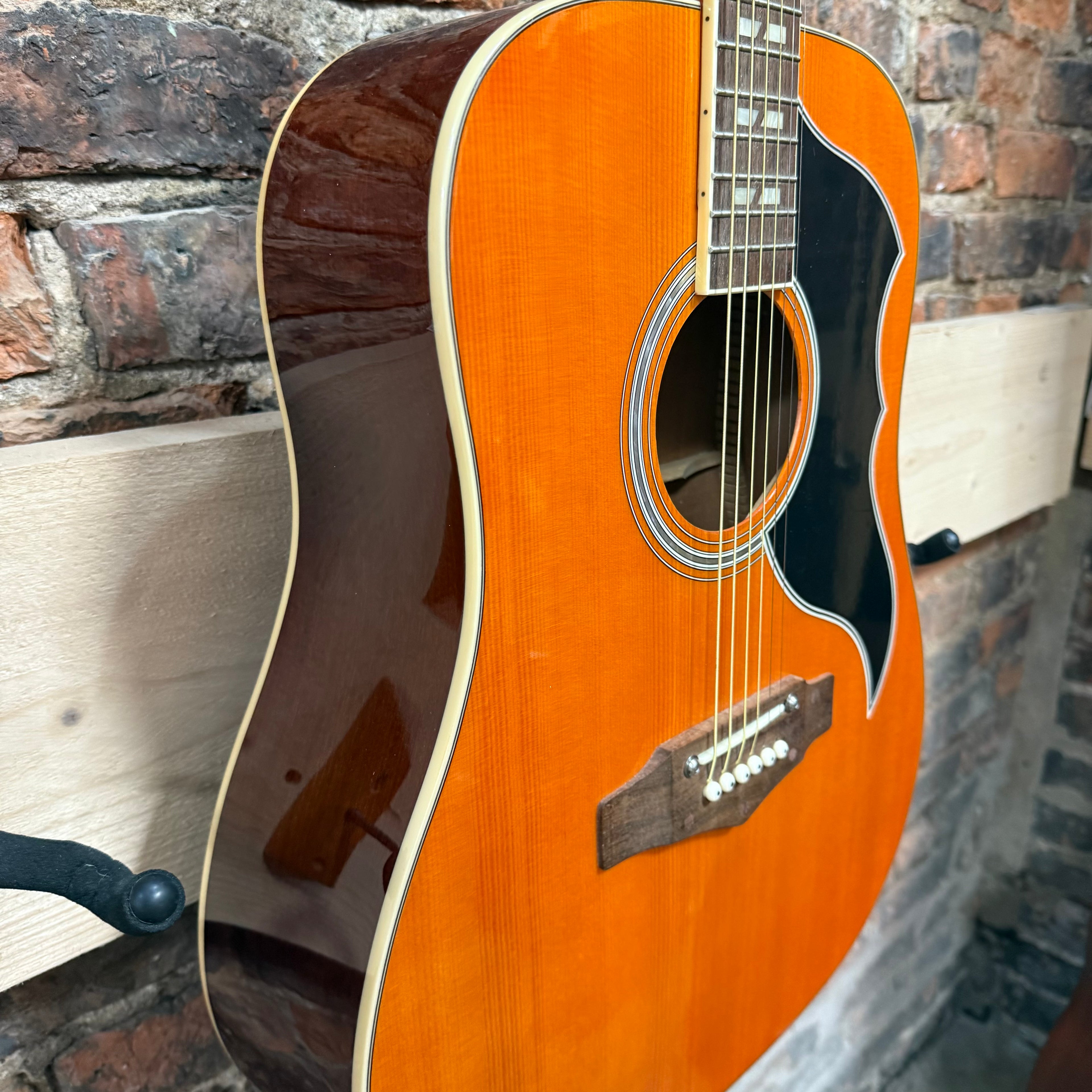 EKO Ranger iv Natural