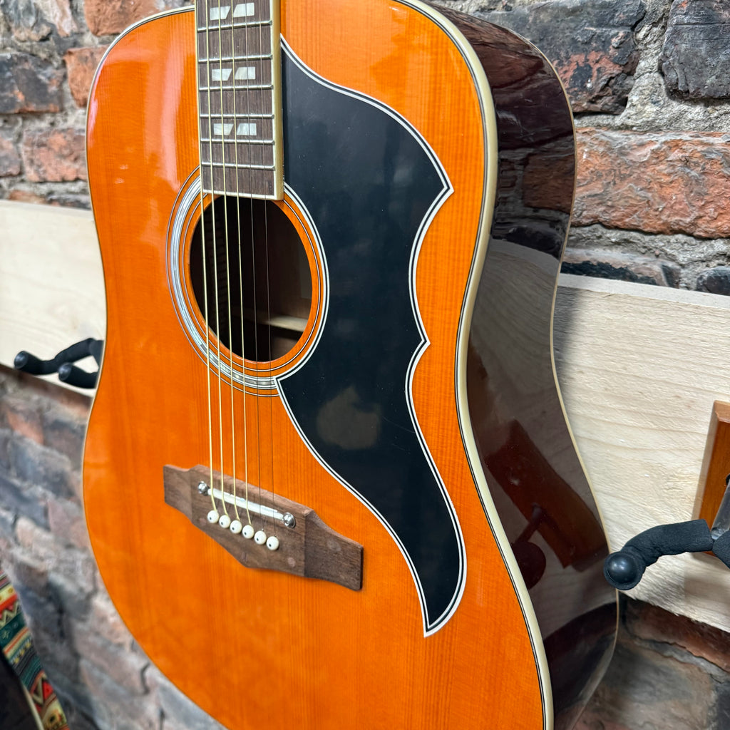 EKO Ranger iv Natural