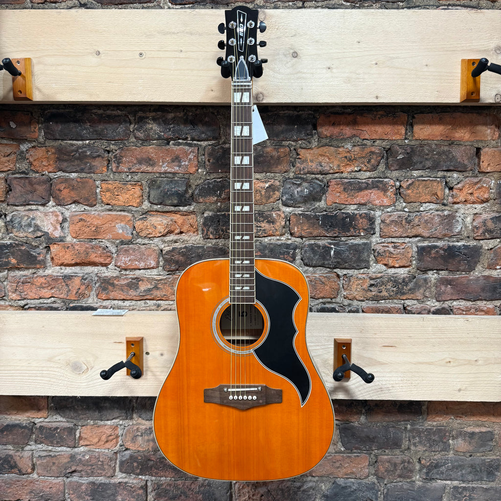 EKO Ranger iv Natural