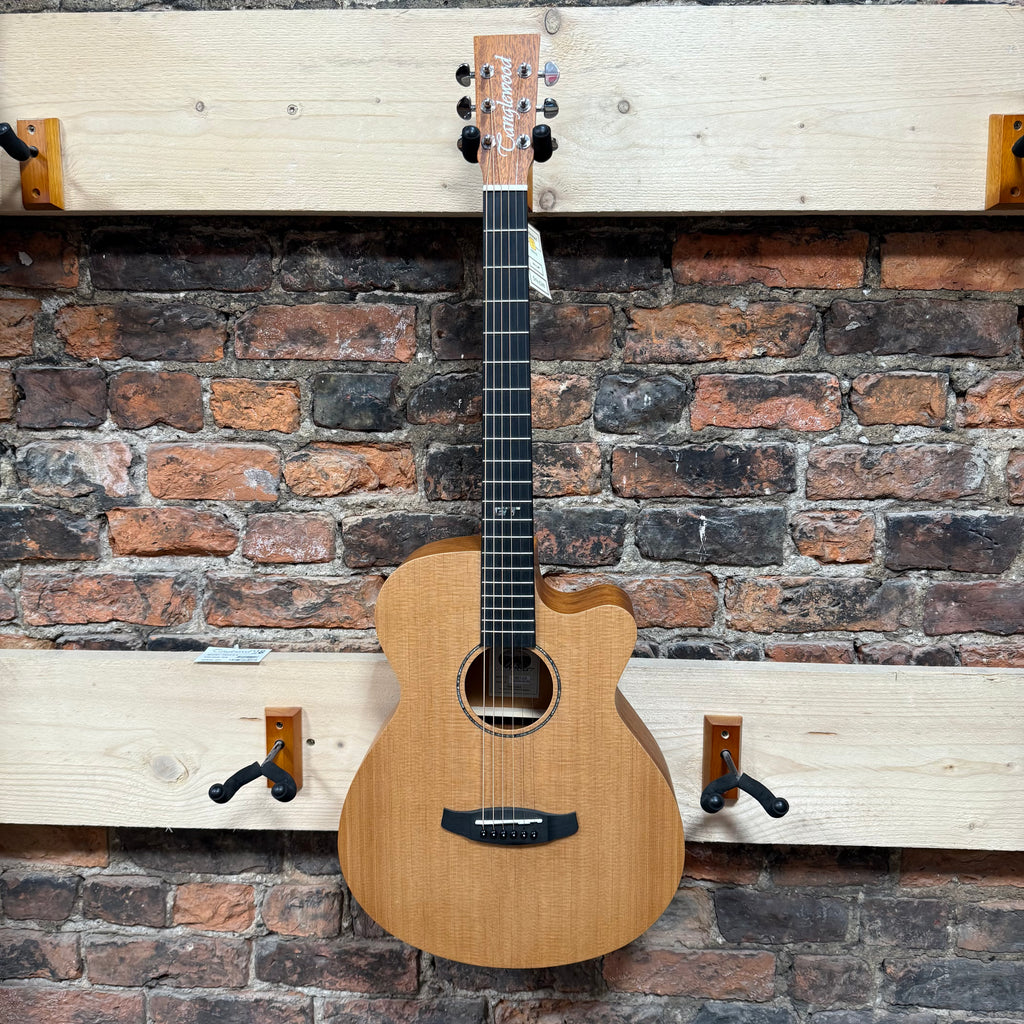 Tanglewood TRGT4CE Including Free Foam Case