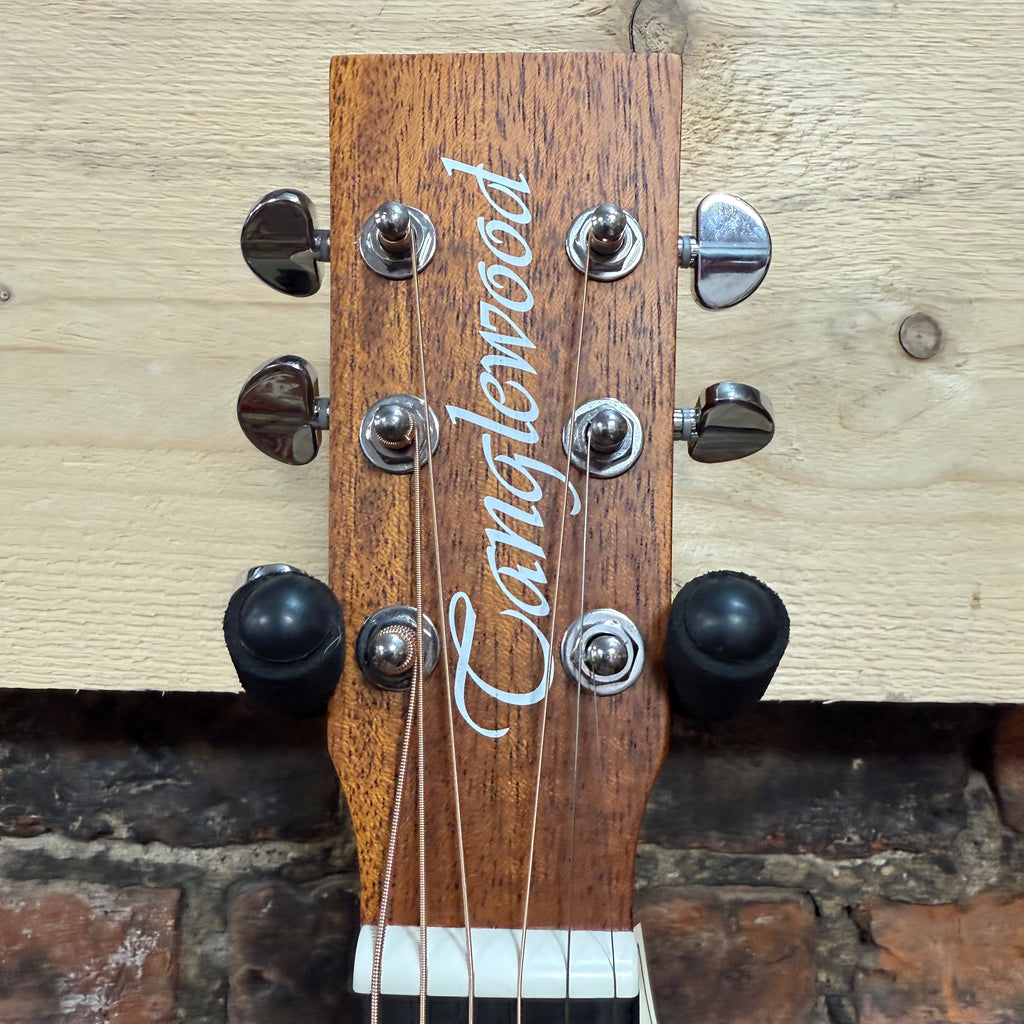 Tanglewood TRGT4CE Including Free Foam Case