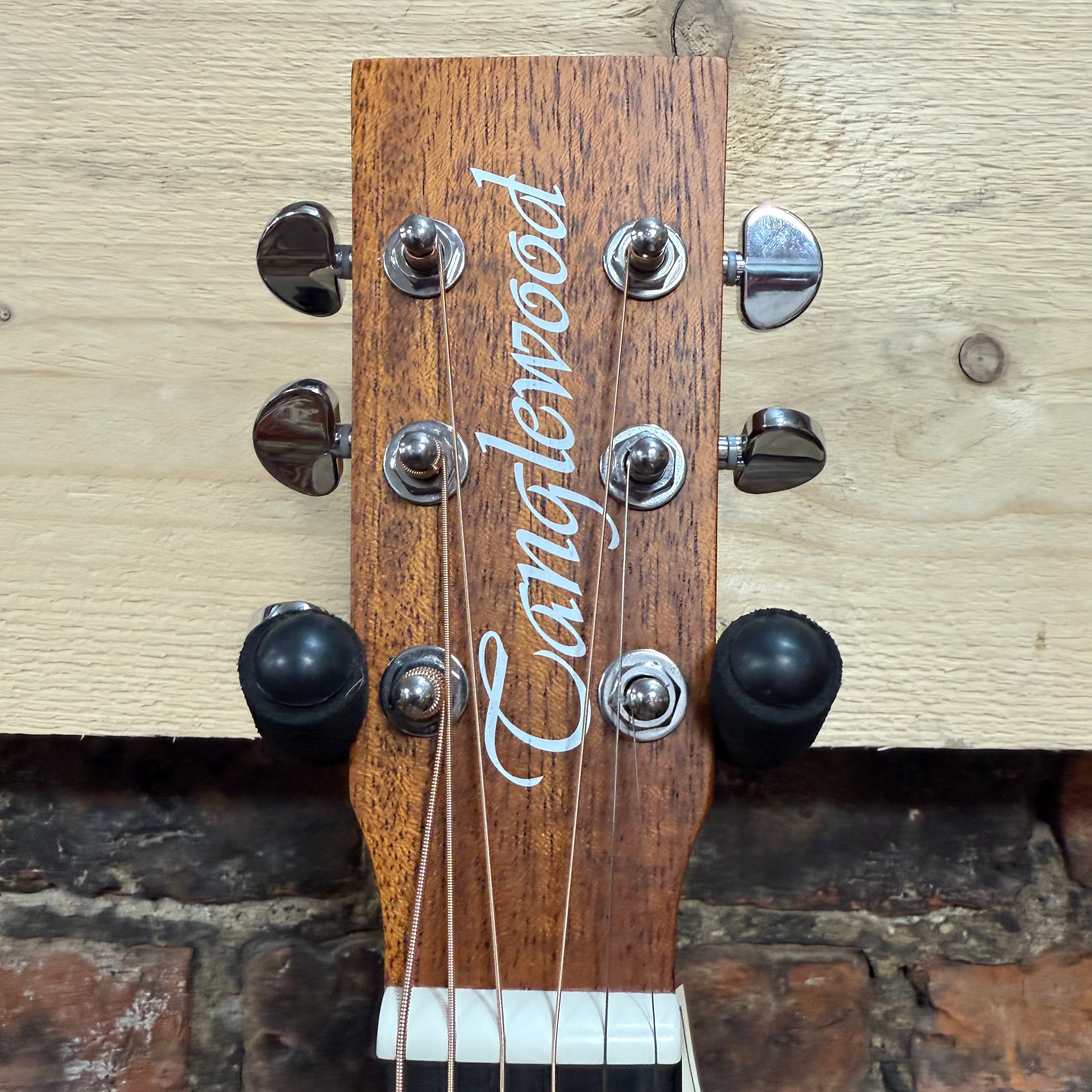 Tanglewood TRGT4CE Including Free Foam Case