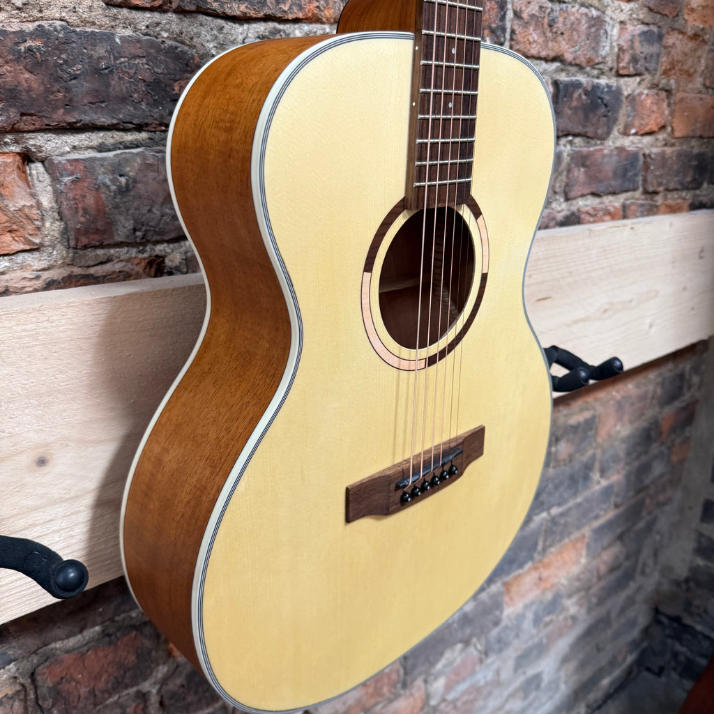 Tanglewood TS3