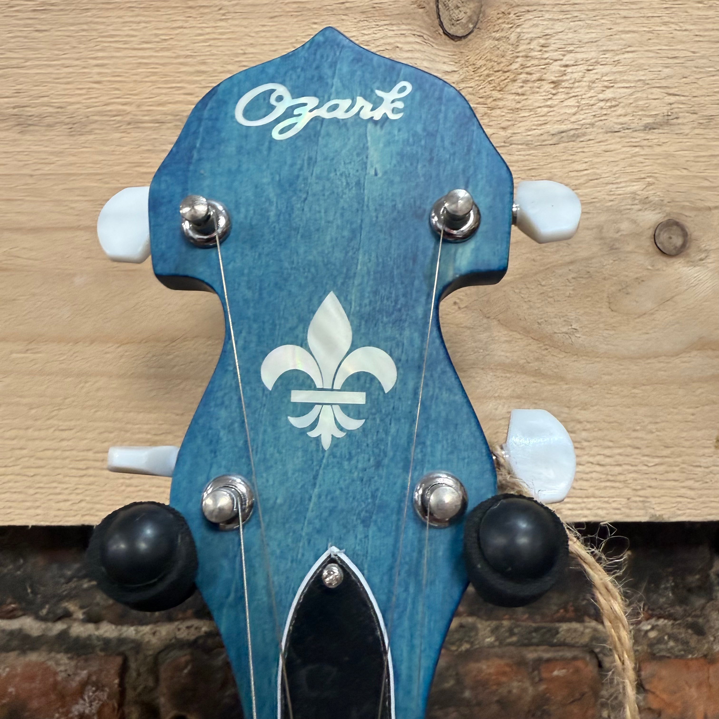 Ozark 5 String Banjo 2306G Blue