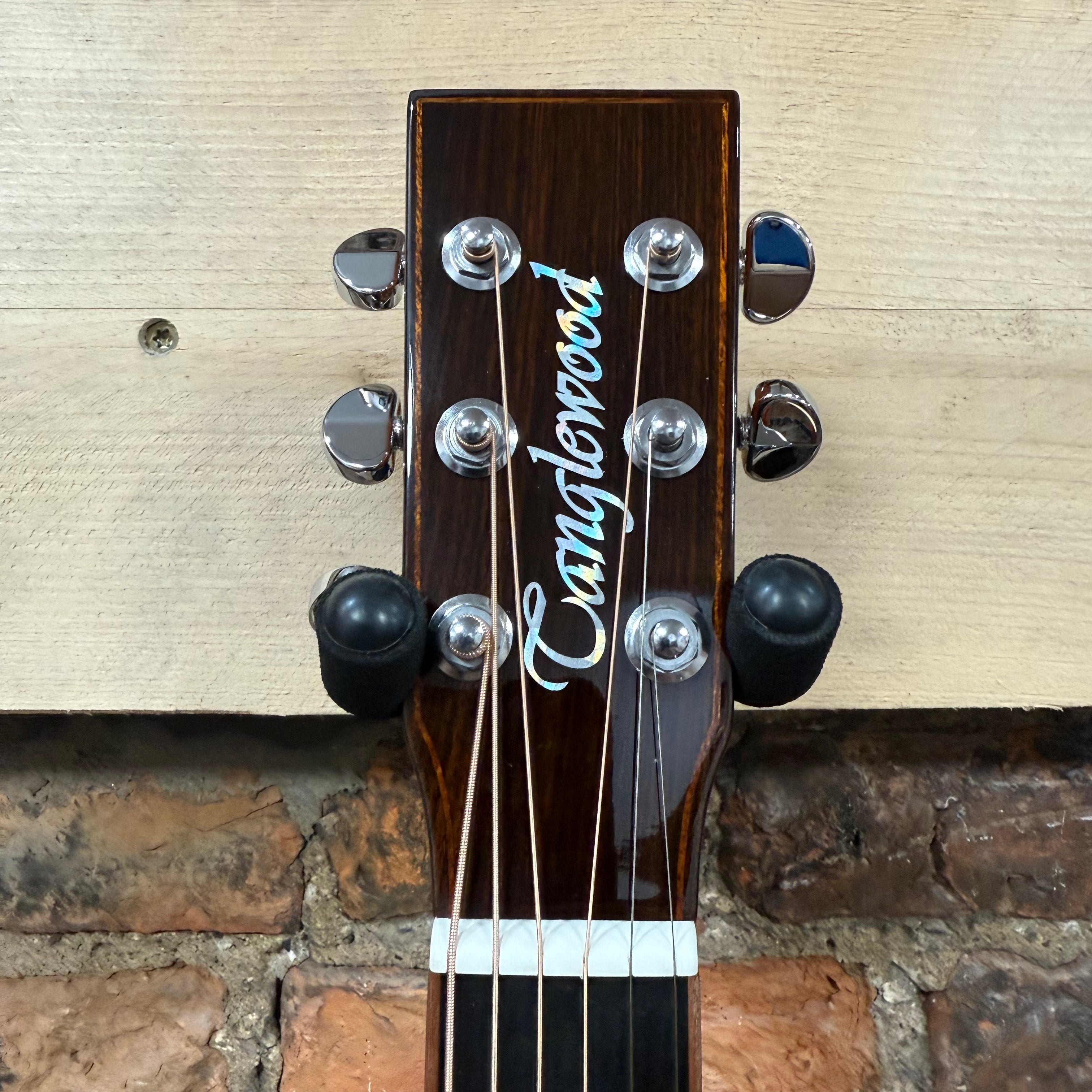 Tanglewood TRS4CE Smart Rosewood Guitar