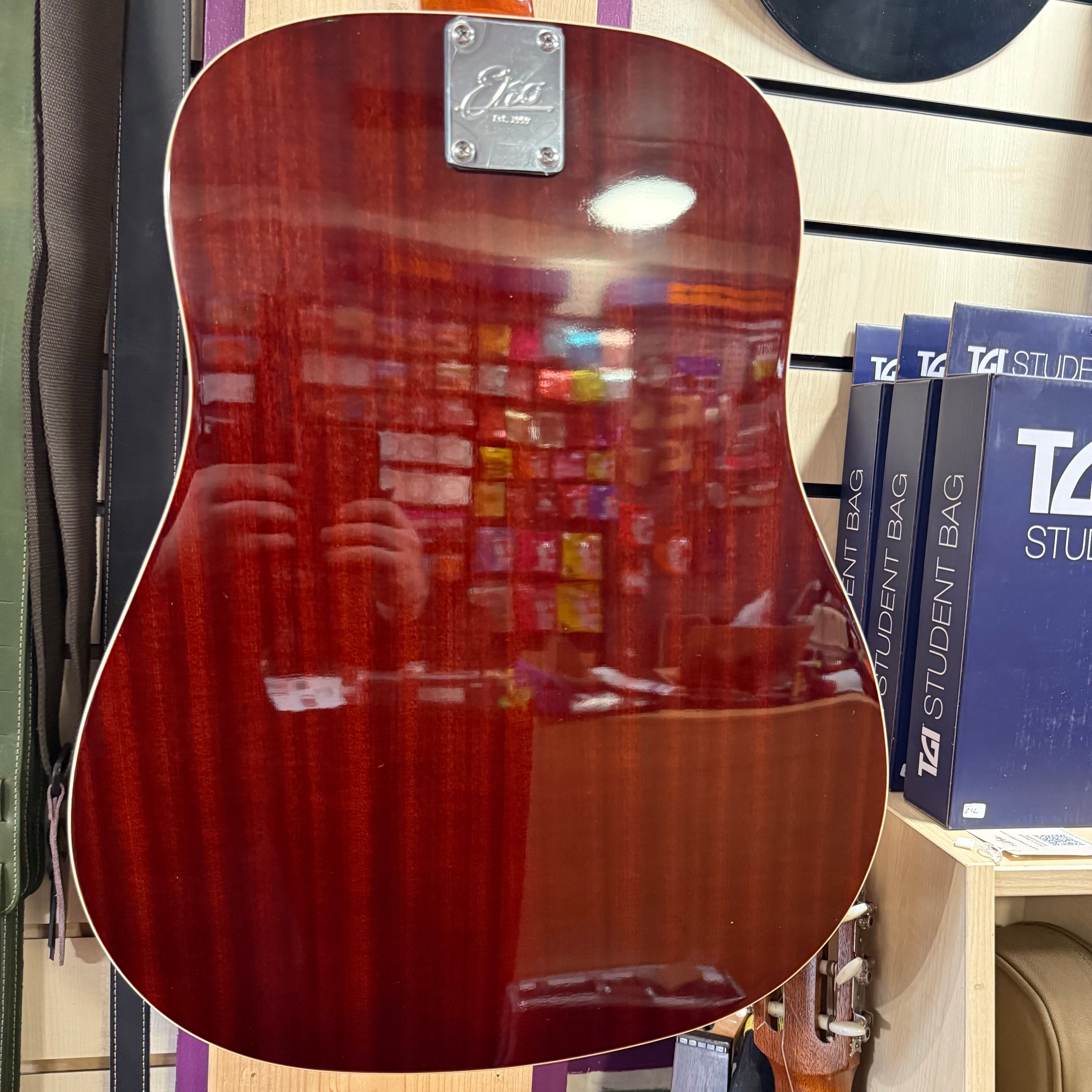Eko Ranger 12 Electro Acoustic