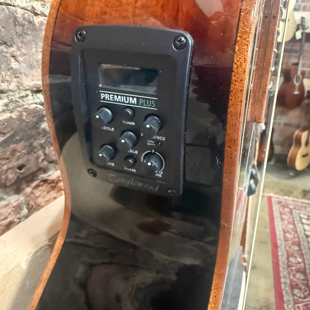 Tanglewood TWX1EK