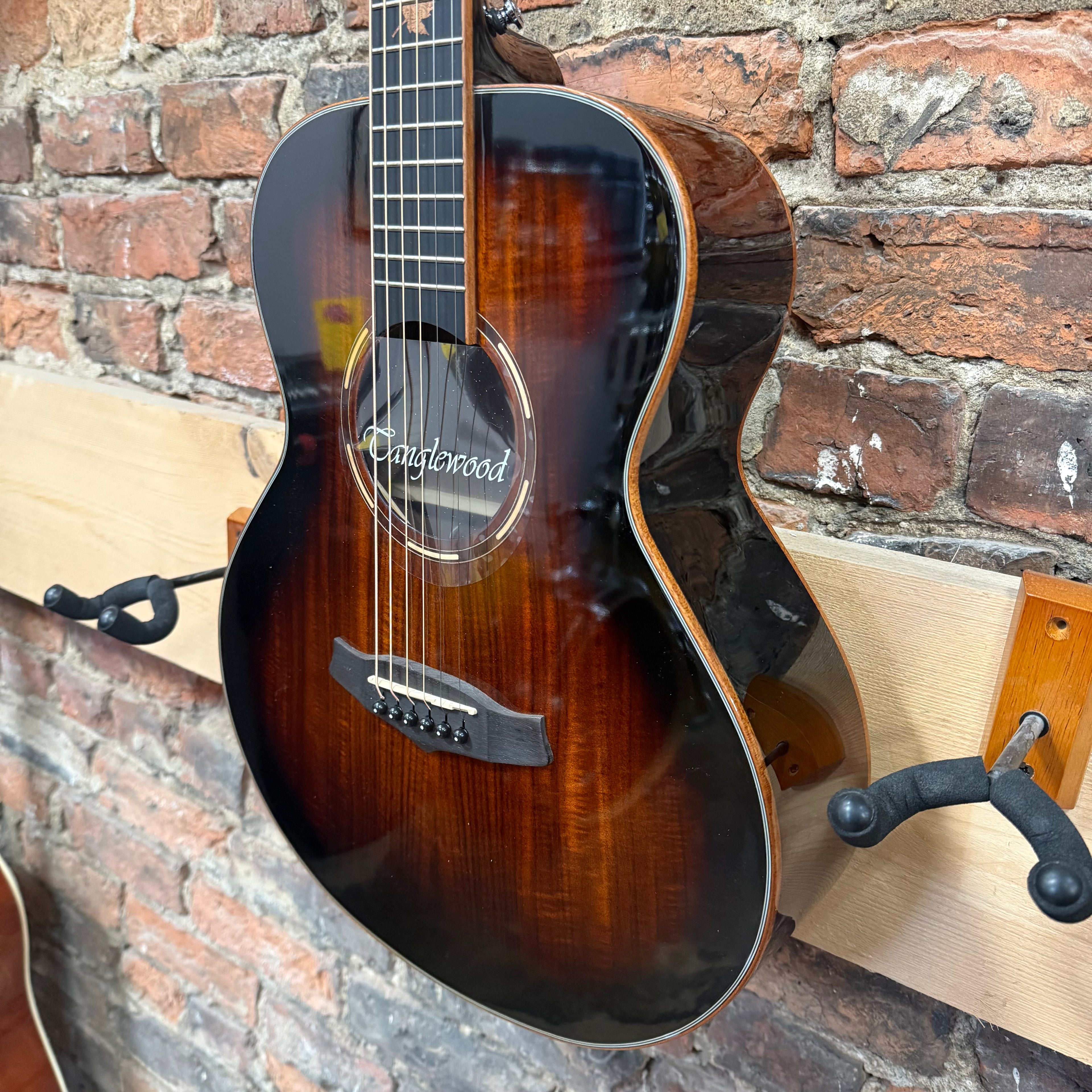 Tanglewood TWX1EK