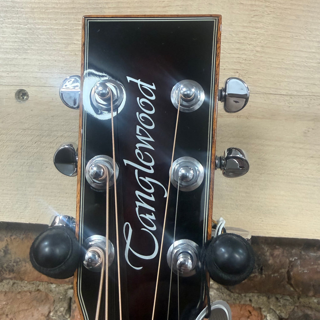 Tanglewood TWX1EK