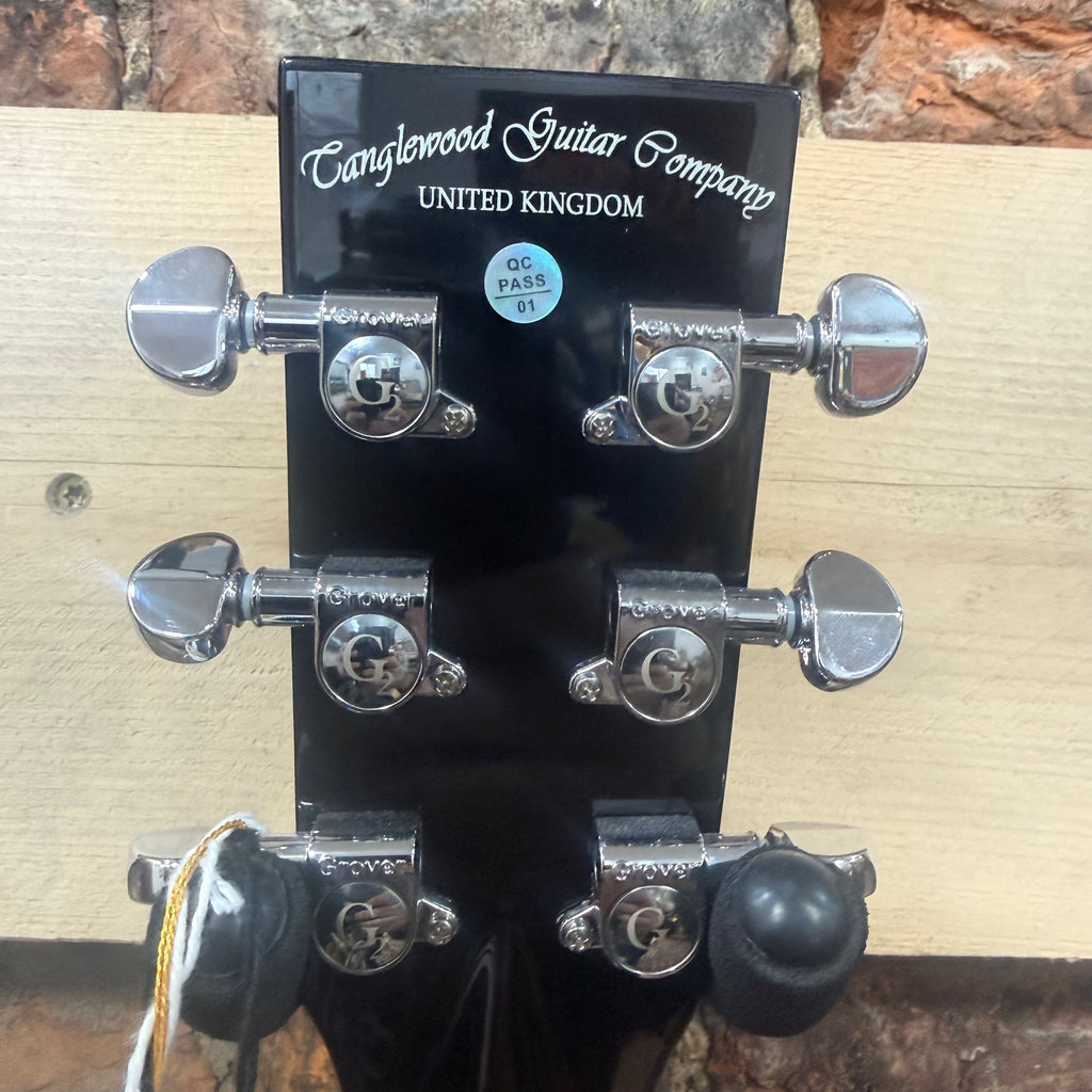 Tanglewood TWX1EK