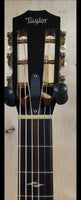 Pre loved Taylor 812 CE 12 Fret.