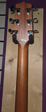 Pre loved Takamine GD11M NS