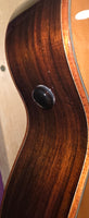 Tanglewood Smart Series TRS1 E