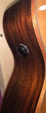 Tanglewood Smart Series TRS1 E
