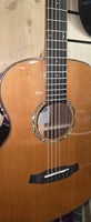 Tanglewood Smart Series TRS1 E
