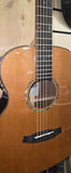 Tanglewood Smart Series TRS1 E