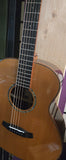 Tanglewood TRS1 E Smart guitar