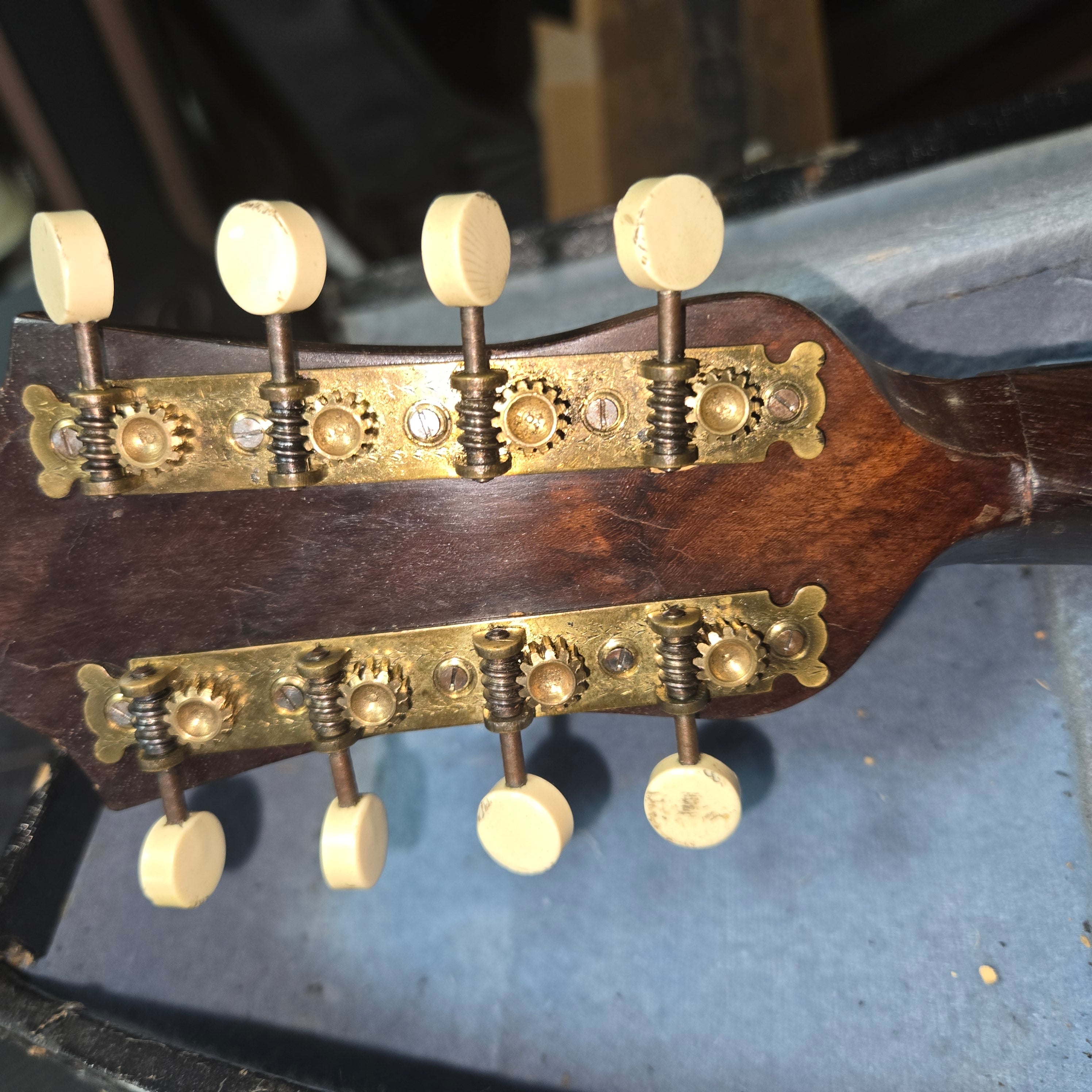 Pre loved Carlos Ricardo Mandolin and case