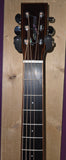 Tanglewood Smart Series TRS1 E