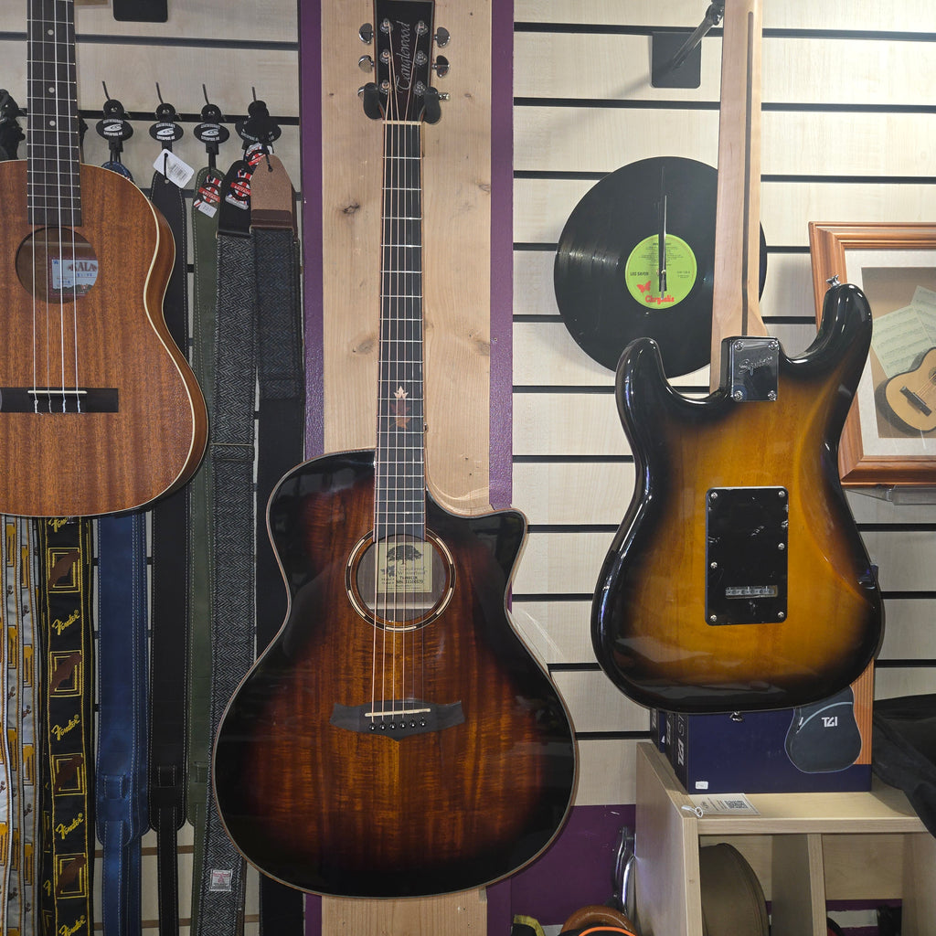 Tanglewood TWX6 CEK