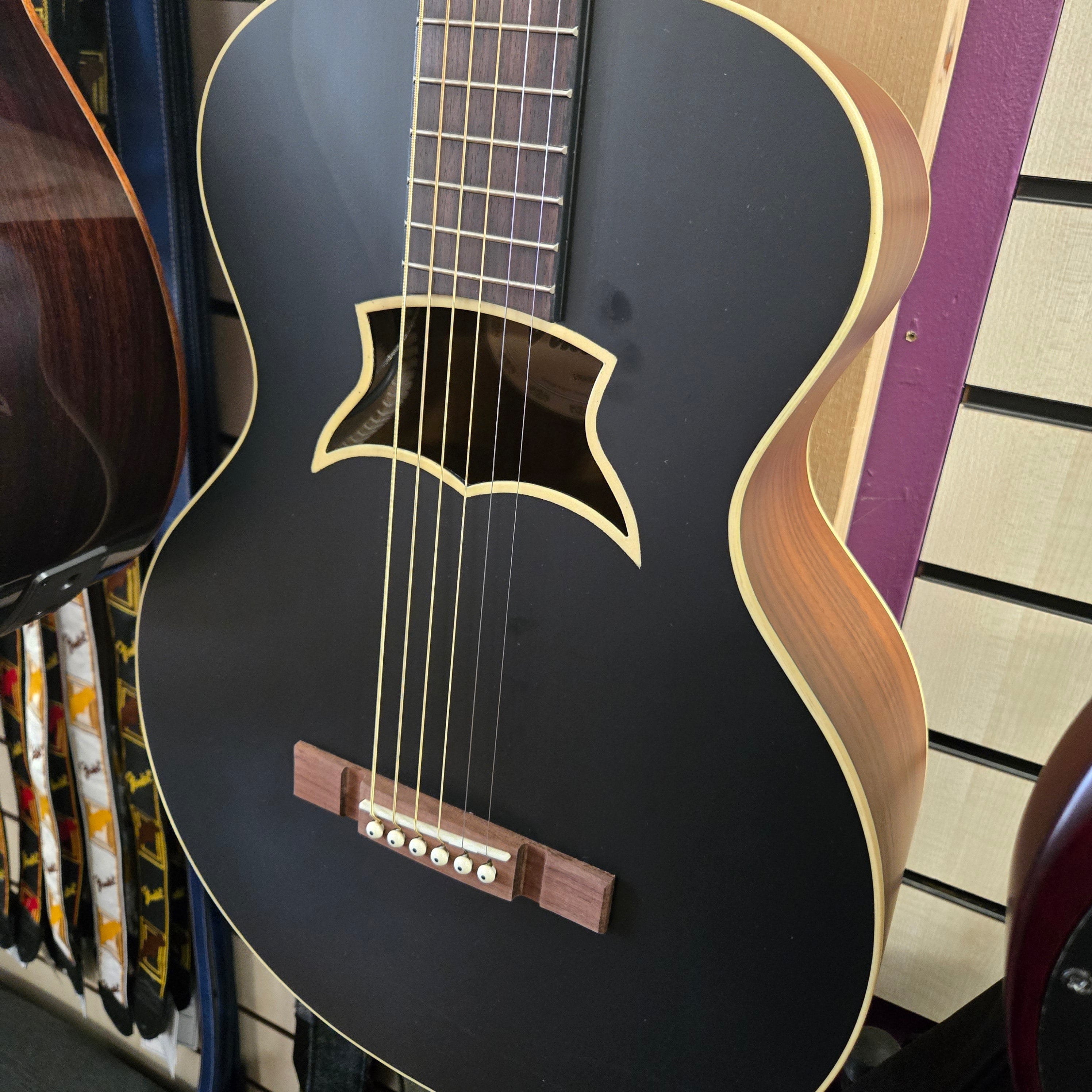 Vintage VRA900EA The Raven