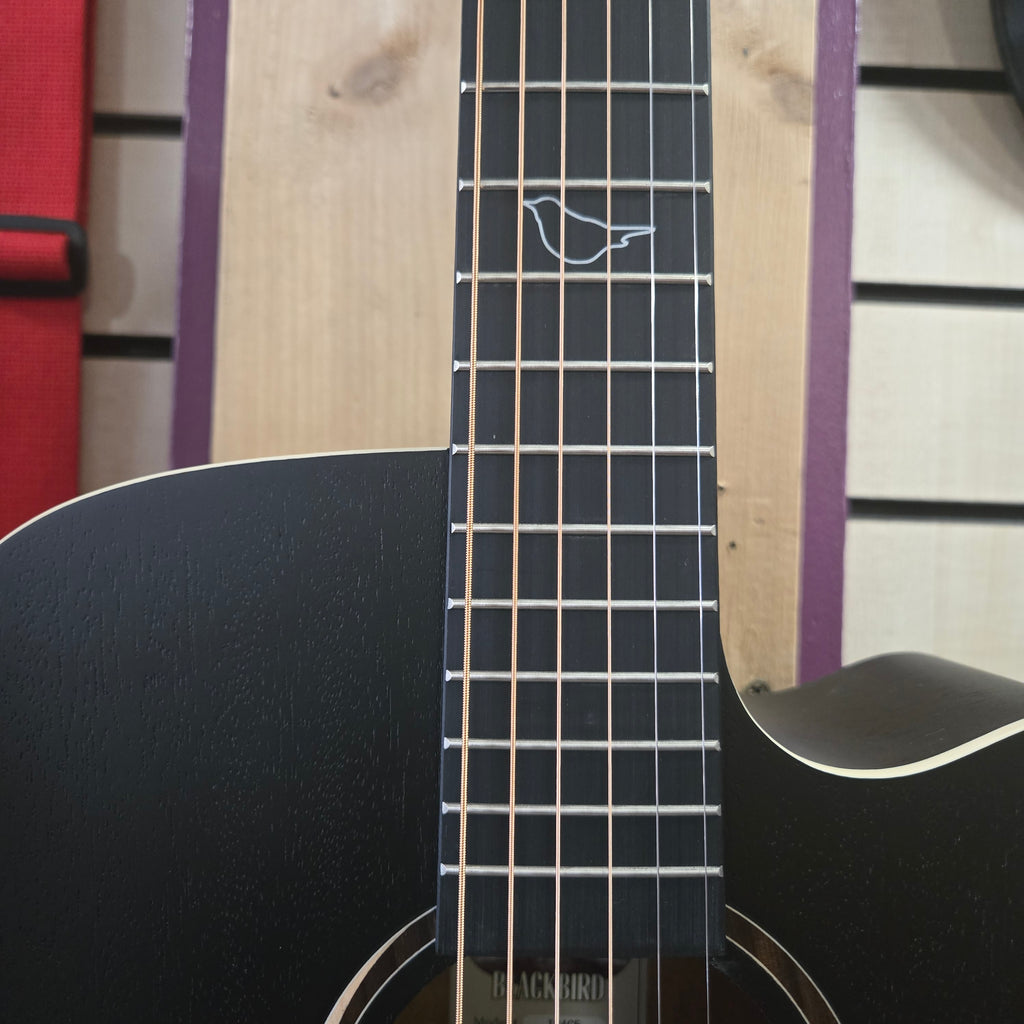 Tanglewood TB4 CE