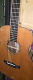 Tanglewood Smart Series TRS1 E
