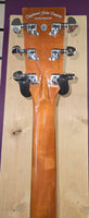 Tanglewood Smart Series TRS 5 SE