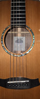 Tanglewood Smart Series TRS1 E