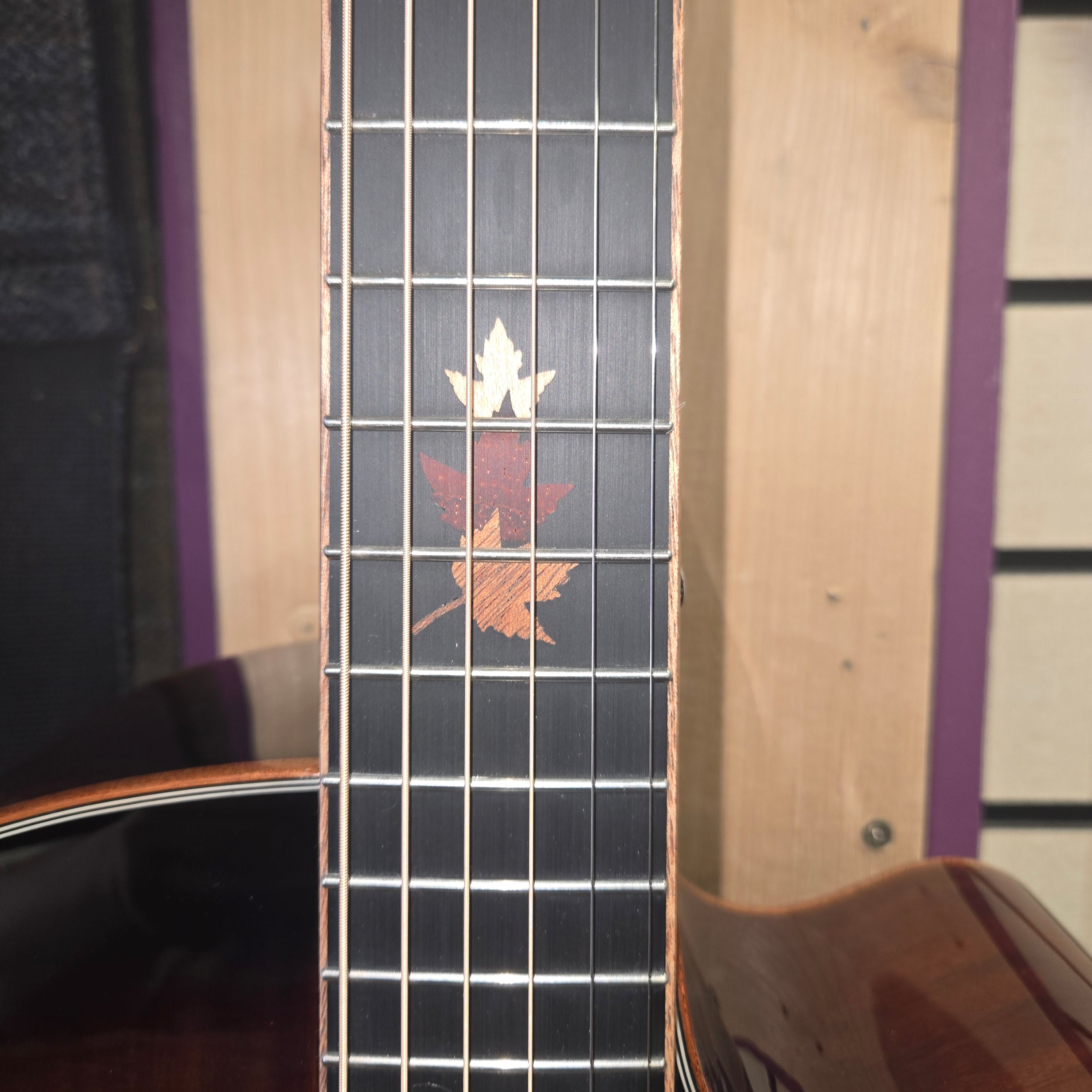 Tanglewood TWX4 CEK