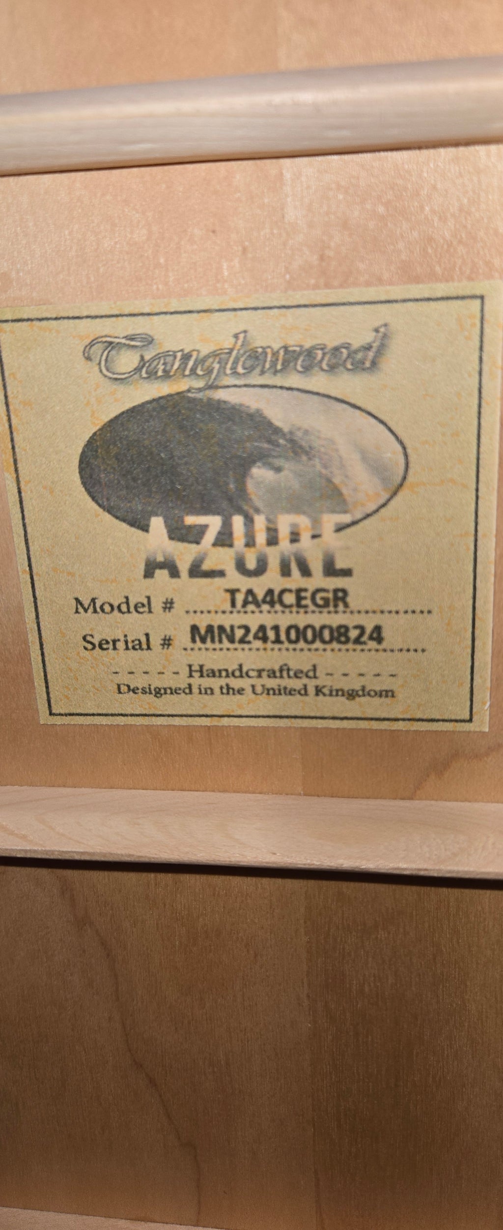 Tanglewood TA4 CE GR