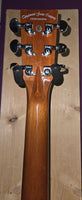Tanglewood Smart Series TRS1 E
