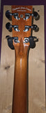 Tanglewood Smart Series TRS1 E