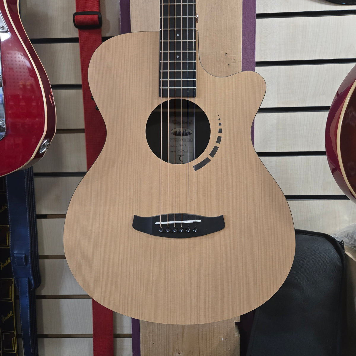 Tanglewood TM4 CE