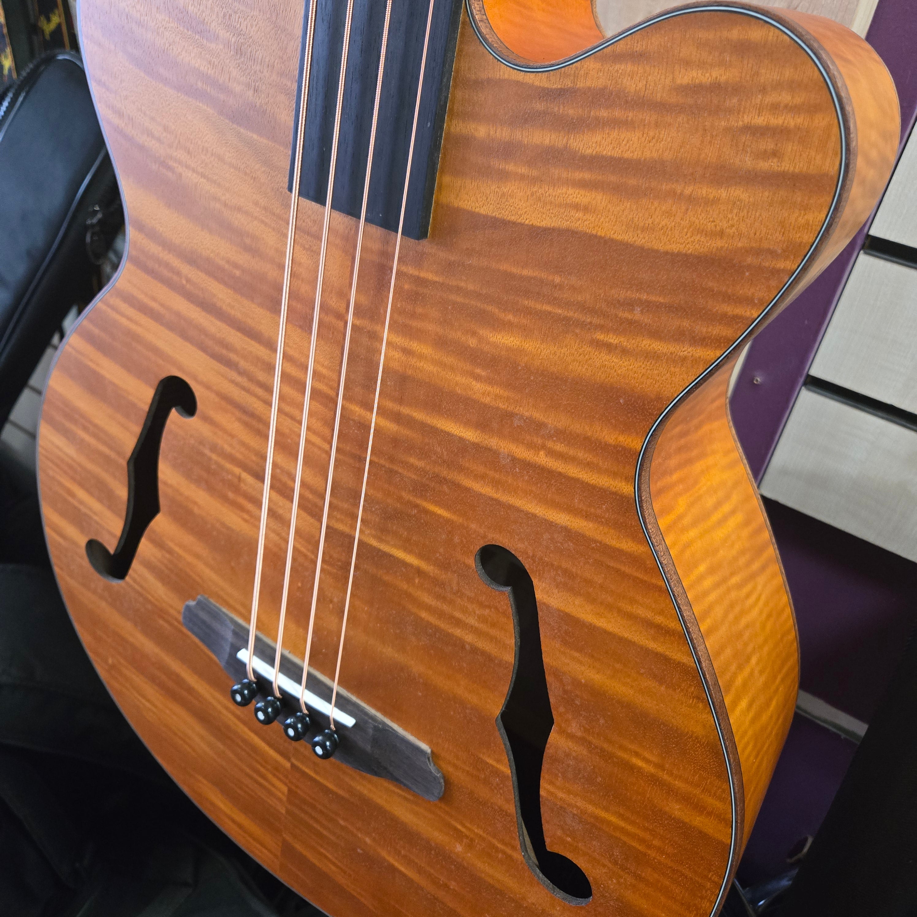 Aria Pro ii FEB F2/FL STBR