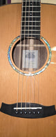 Tanglewood Smart Series TRS 5 SE