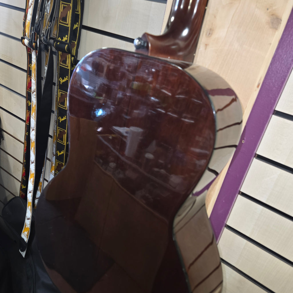 Pre loved Ibanez V100