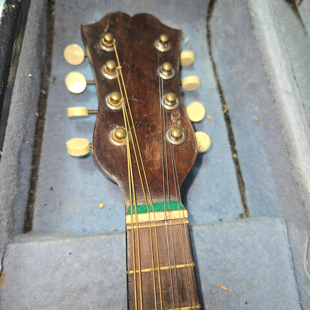 Pre loved Carlos Ricardo Mandolin and case